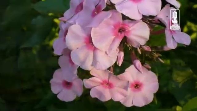 Детские Это Было Тогда смотреть онлайн