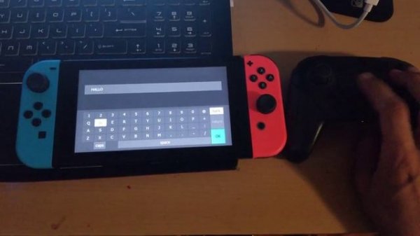 Homebrew Nintendo Switch Checkpoint BACKUP AND RESTORE SAVE FILES (Tutorial) (5.0.2, 4.1.0, X.X.X)