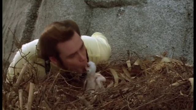Top 7 Funniest Ace Ventura Scenes смотреть онлайн
