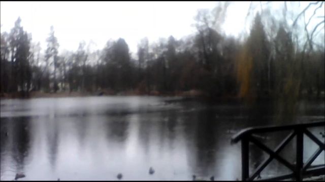 Pięknorogi, wiewiorka, kaczki i Marysienka 25 12 2018 Park Zdrojowy i Norweski смотреть онлайн