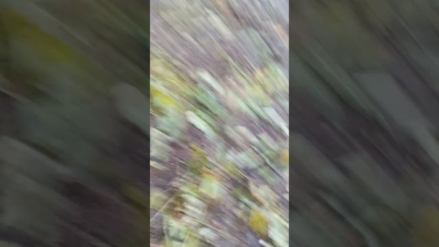 Выехали посмотреть что произошло после вчерашнего урагана.