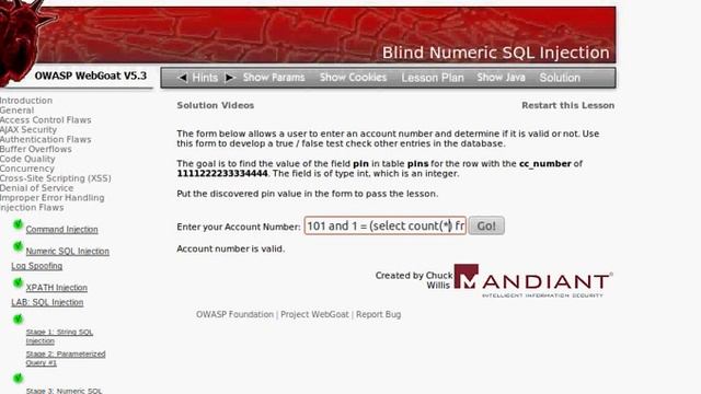 Blind Numeric SQL Injection - Hacking Websites with SQL Injection смотреть онлайн