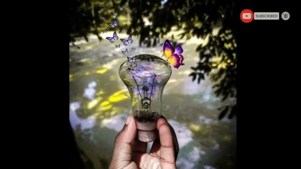 Photography Tips With Bulb 💡2020