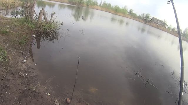 ЛОВЛЯ КАРАСЯ НА ГОРОДСКИХ КАРЬЕРАХ.ЛОВЛЯ ПИКЕРОМ смотреть онлайн