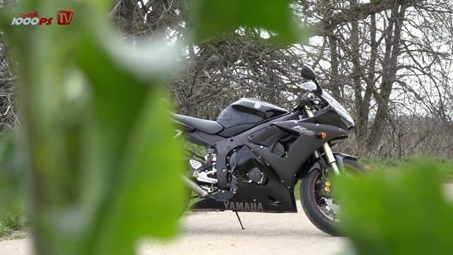 1000PS Review - Used 600cc Supersports In Comparison - 4000 To 5000 € | ENGL Subs