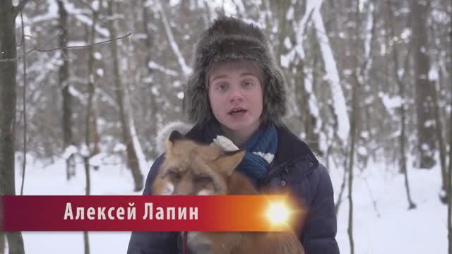 В МИРЕ ЖИВОТНЫХ смотреть онлайн