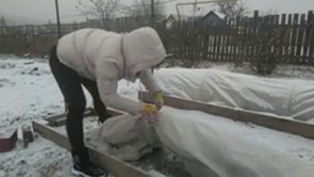 Подготовка винограда к зиме на Урале. 2 часть. Укрытие винограда. смотреть онлайн