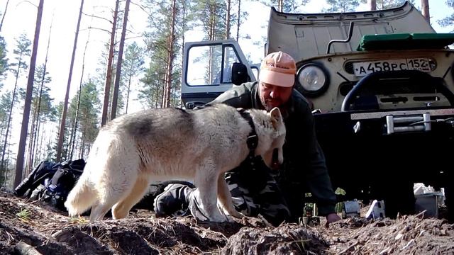 "Утро второго дня на Первомайской Звёздочке -2014г." смотреть онлайн