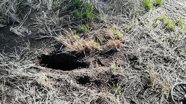 С Nokta makro simplex plus по полю, vdi смотреть онлайн