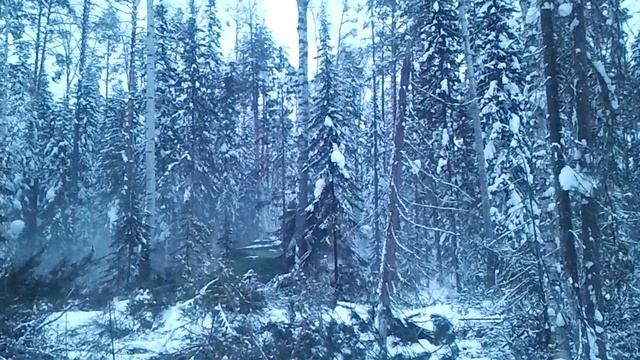 Тимбермаш байкал.mp4 смотреть онлайн