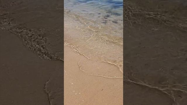 Пляж Пернера на Кипре. Айя Напа. Средиземное море #shorts смотреть онлайн