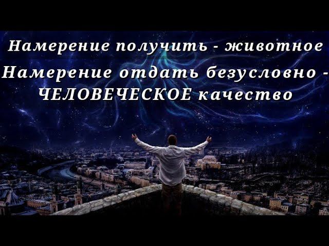 Как распознать намерения человека в отношениях | Фундаментальные основы смотреть онлайн