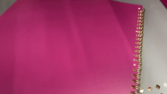 I've Got You The Latest Look At The Walmart Planner Clearance For 2024 @YoYoFinds