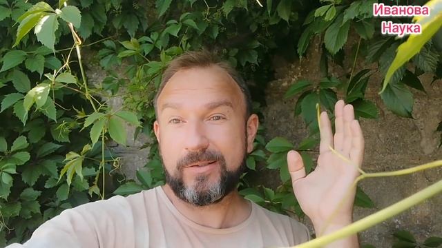 Обойдёмся без колорадских жуков! 100% КОЛОРАДЫ СДОХНУТ! А все хорошие - НЕТ!!! смотреть онлайн