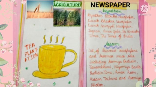 Art Integrated Project Work File of Rajasthan And Assam | Rajasthan And Assam Project | StudyPride смотреть онлайн