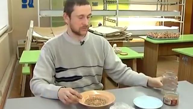 Как проращивать и употреблять проростки пшеницы смотреть онлайн