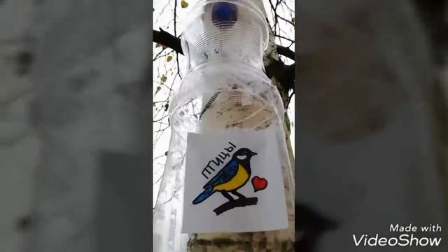 Поможем птицам вместе! КОРМУШКА для птиц из подручных материалов! смотреть онлайн