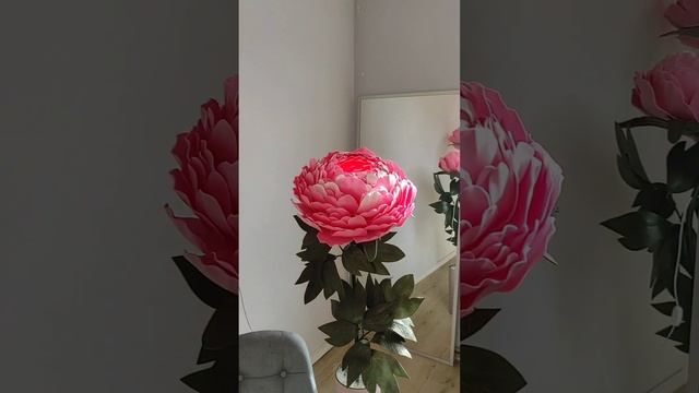 Павонії Світильники , краса неймовірна Ручна робота , ростові квіти смотреть онлайн