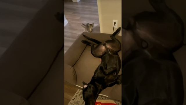 Нежданчик смотреть онлайн