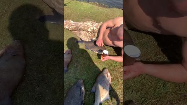 Обнаружили Клевое место. Fishing. смотреть онлайн