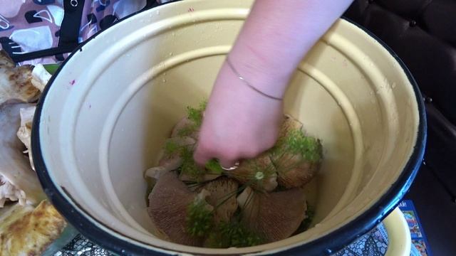 Дела Хозяйские