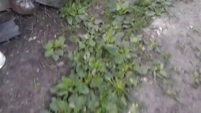 Ремонтная Интрига