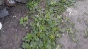 Самодельные бетонные столбики