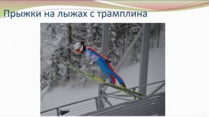 Зимние виды спорта