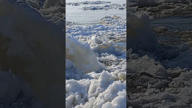 Ледостав р. Амур, база КАФ 27.11.2022 смотреть онлайн