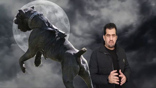 اشرس كلب حراسة علي الاطلاق كين كورسو cane corso смотреть онлайн