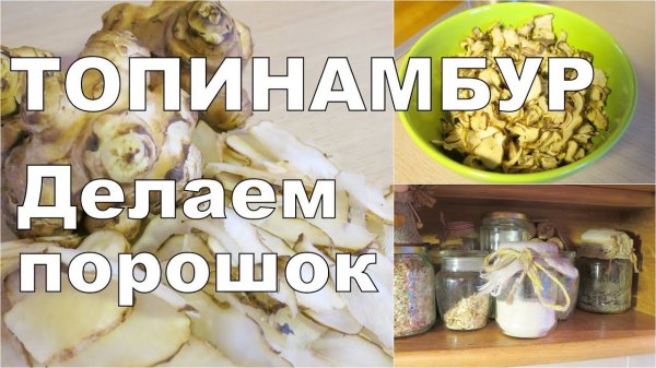 ПОРОШОК из ТОПИНАМБУРА / Копаем топинамбур весной