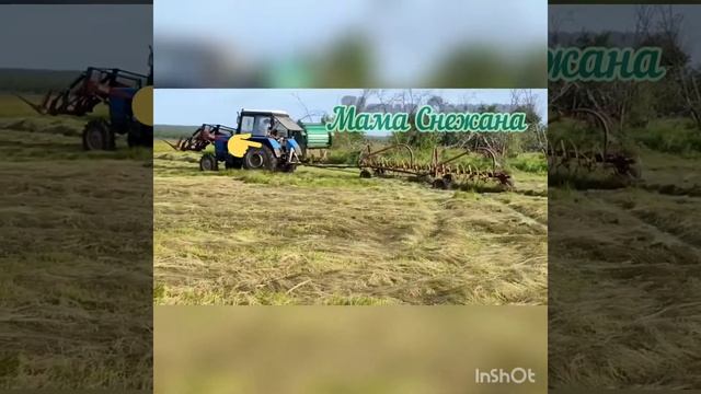 Сенокос лето 2021 семья Чемезовых: папа Руслан, мама Снежана, сын Кирилл смотреть онлайн