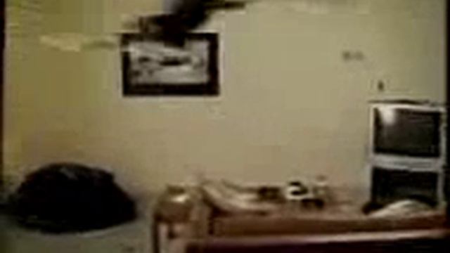 EL Gato Volador (1)_1.3gp смотреть онлайн