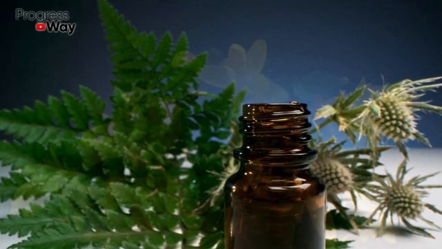 Если Декабрист Не Цветёт И Удобрения Не Помогают Это Копеечное Средство Придёт На Помощь! смотреть онлайн