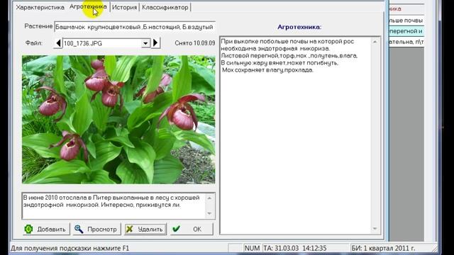 О конфигурации 1С Мечта цветовода смотреть онлайн