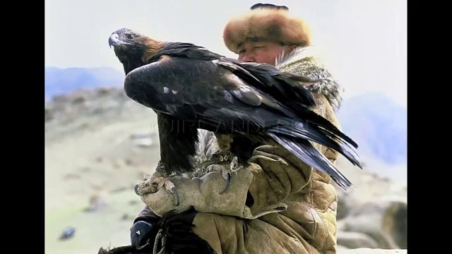 Ак Бугу керемет комуз куусу. смотреть онлайн