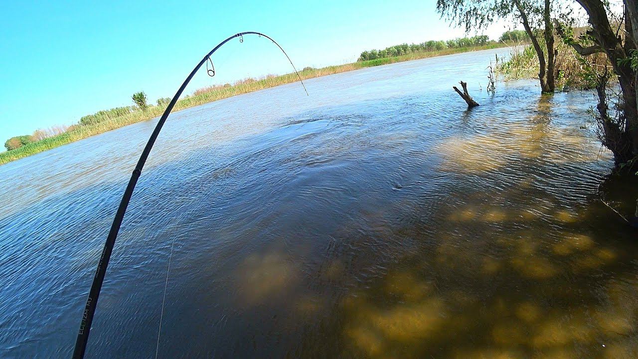 РЫБАЛКА УШЛА В МИНУС 70 ТЫСЯЧ. НЕРЕСТОВЫЙ ЗАПРЕТ. смотреть онлайн