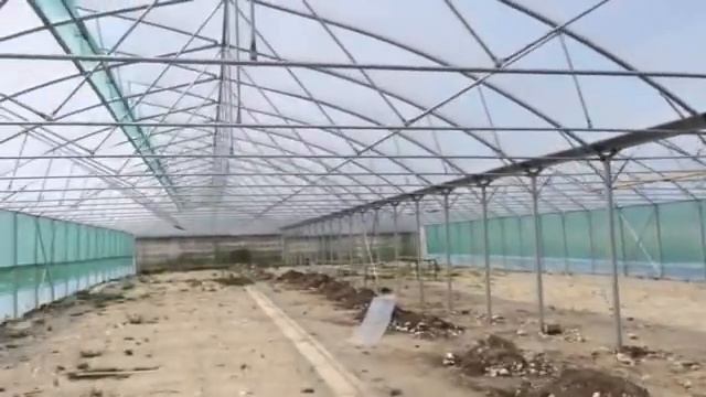 Многорядная теплица 20м на 50м смотреть онлайн