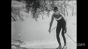 Попеременный двухшажный ход