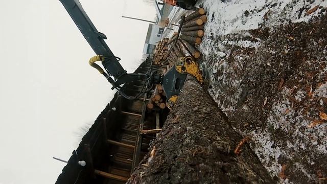 Сортировка древесины на заводе по производству бруса , Киров смотреть онлайн