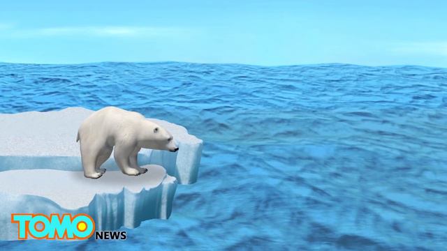 Polar bears in danger: Global warming will wipe one third of polar bears out by 2050 - TomoNews смотреть онлайн