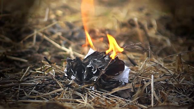 Burning paper || Как горит бумага смотреть онлайн
