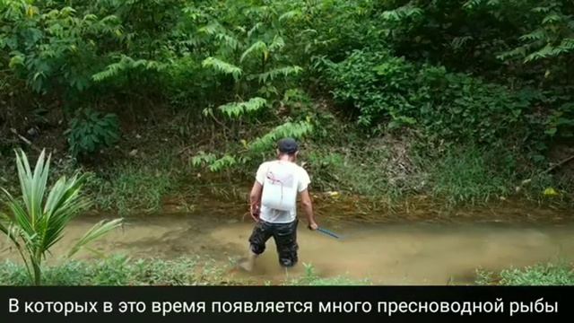 Фукуок. Ловля на электрическую удочку смотреть онлайн