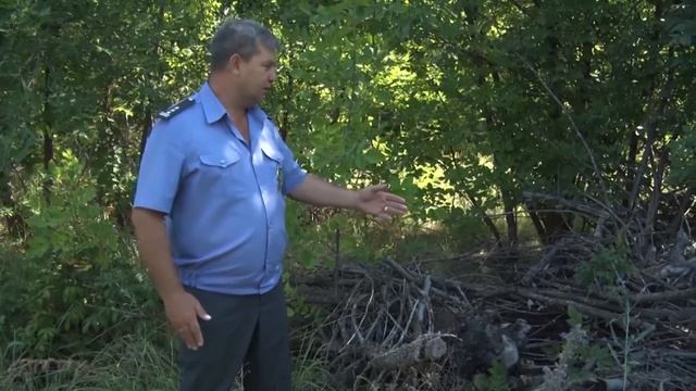 Зарастание земель сельхозназначения.mp4 смотреть онлайн