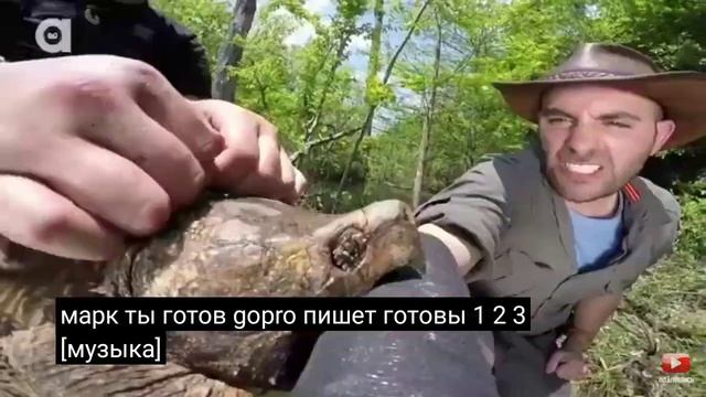 Койот Петерсон укус грифовой черепахи смотреть онлайн