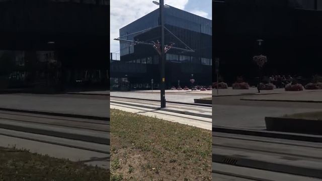 Университет Утрехт/ Нидерланды/Изучаем достопримечательности Утрехтского Университета/07 июля 2018 смотреть онлайн