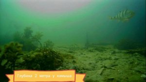 Хит Сезон MOQCQGR !? Обзор Подводной камеры MOQCQGR   MO-CI07HD-DVR. Зимняя рыбалка.