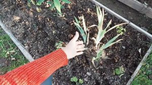 Видео привет с 6 соток 27 июня 2024 года.