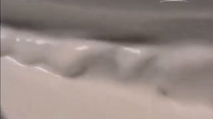 Лапша Шахэ - одно из любимых блюд в Гуанчжоу