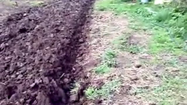 лебедка смотреть онлайн